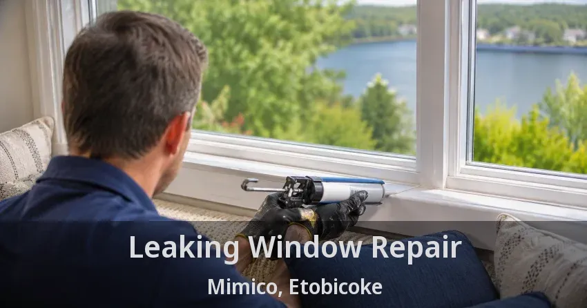 Leaking Window Repair Mimico, Etobicoke - ON