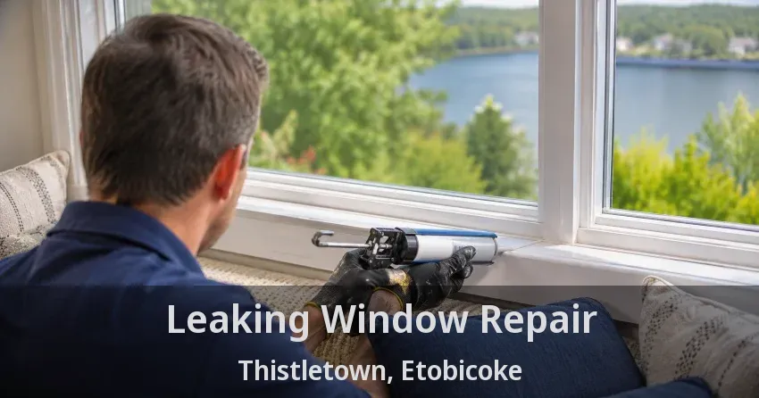 Leaking Window Repair Thistletown, Etobicoke - ON